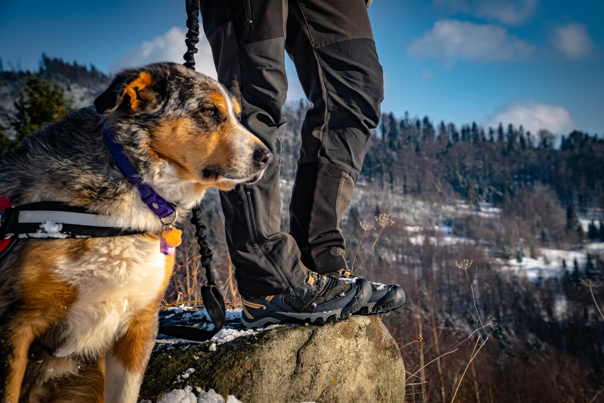 Nowy Keen Ridge Flex w trakcie dogtrekkingu w Beskidzie Wyspowym