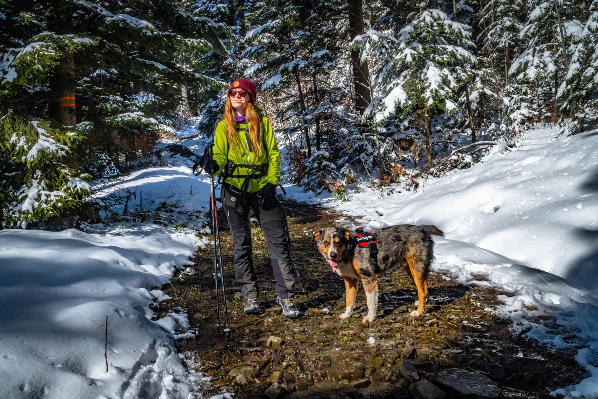 Wycieczki gorskie z psem w Beskidzie Wyspowym z butami trekkingowymi Keen Ridge Flex