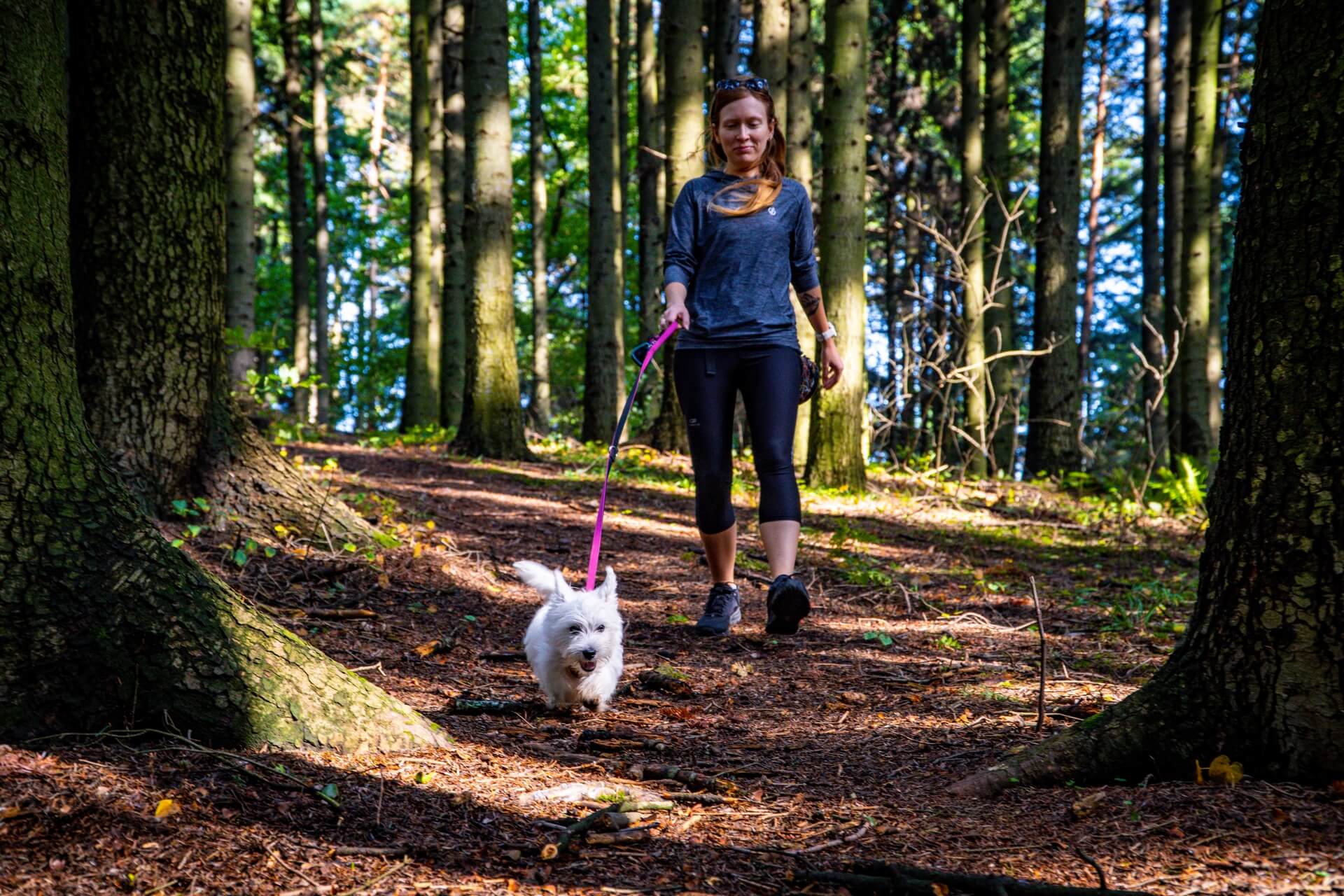 Buty Keen Terradora II WP na spacerze z psem po lesnych sciezkach