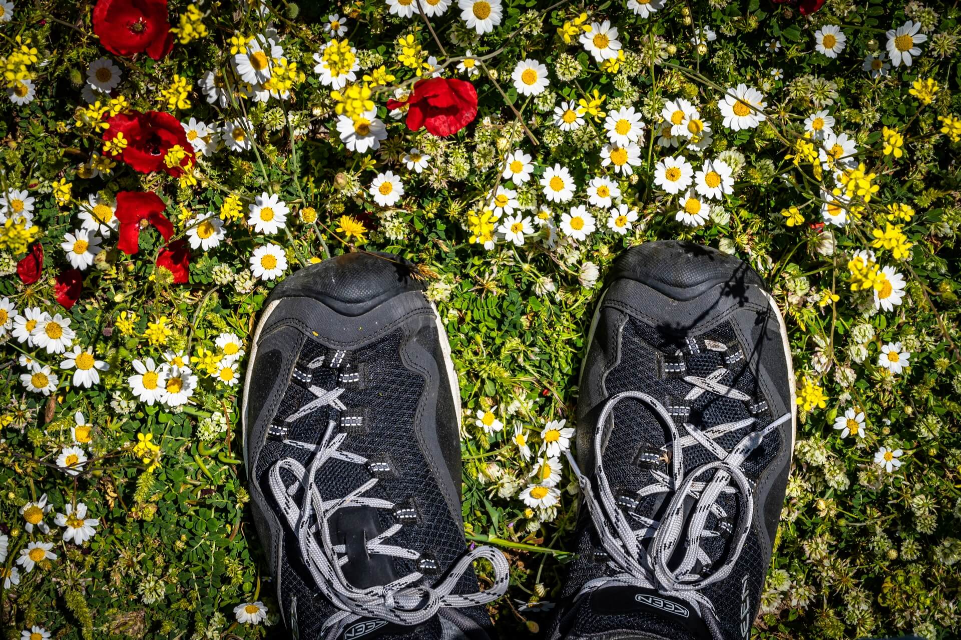 Lekkie wycieczki poza miastem z butami keen wasatch crest vent