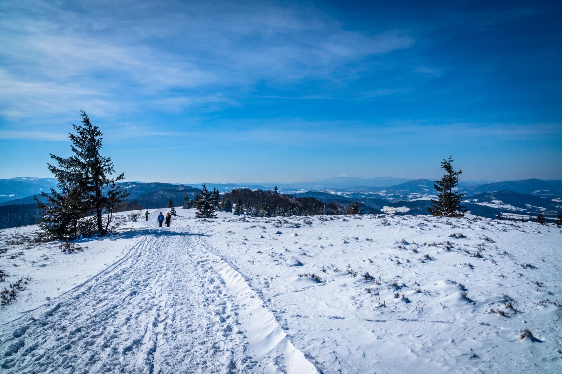 Beskid wyspowy to idealne miejsce na pierwsze wycieczki z psem