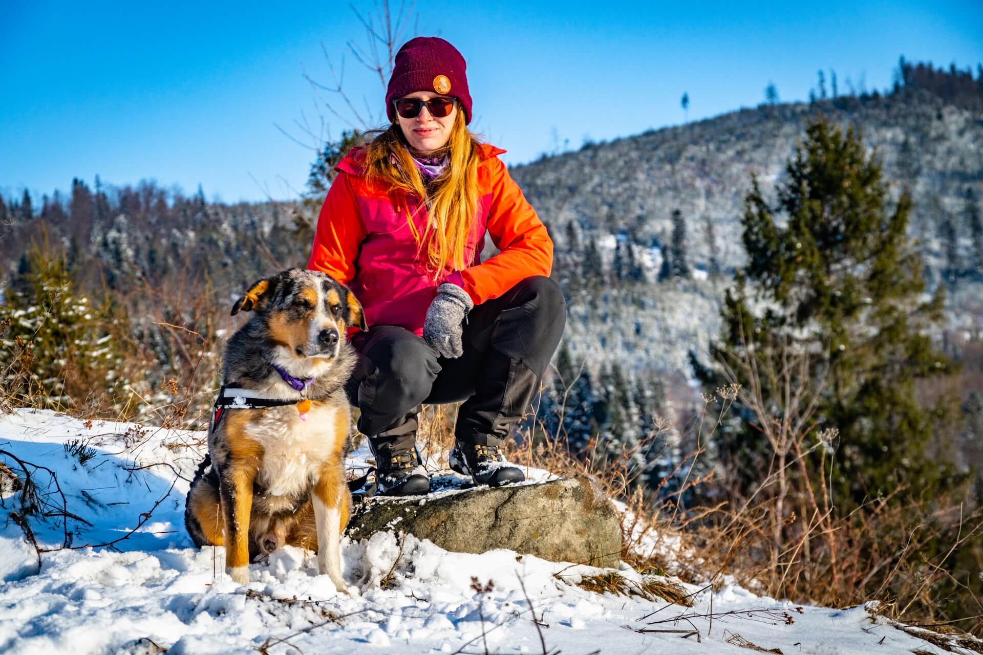 Krotki odpoczynek w trakcie dogtreekingu w Beskidzie Wyspowym