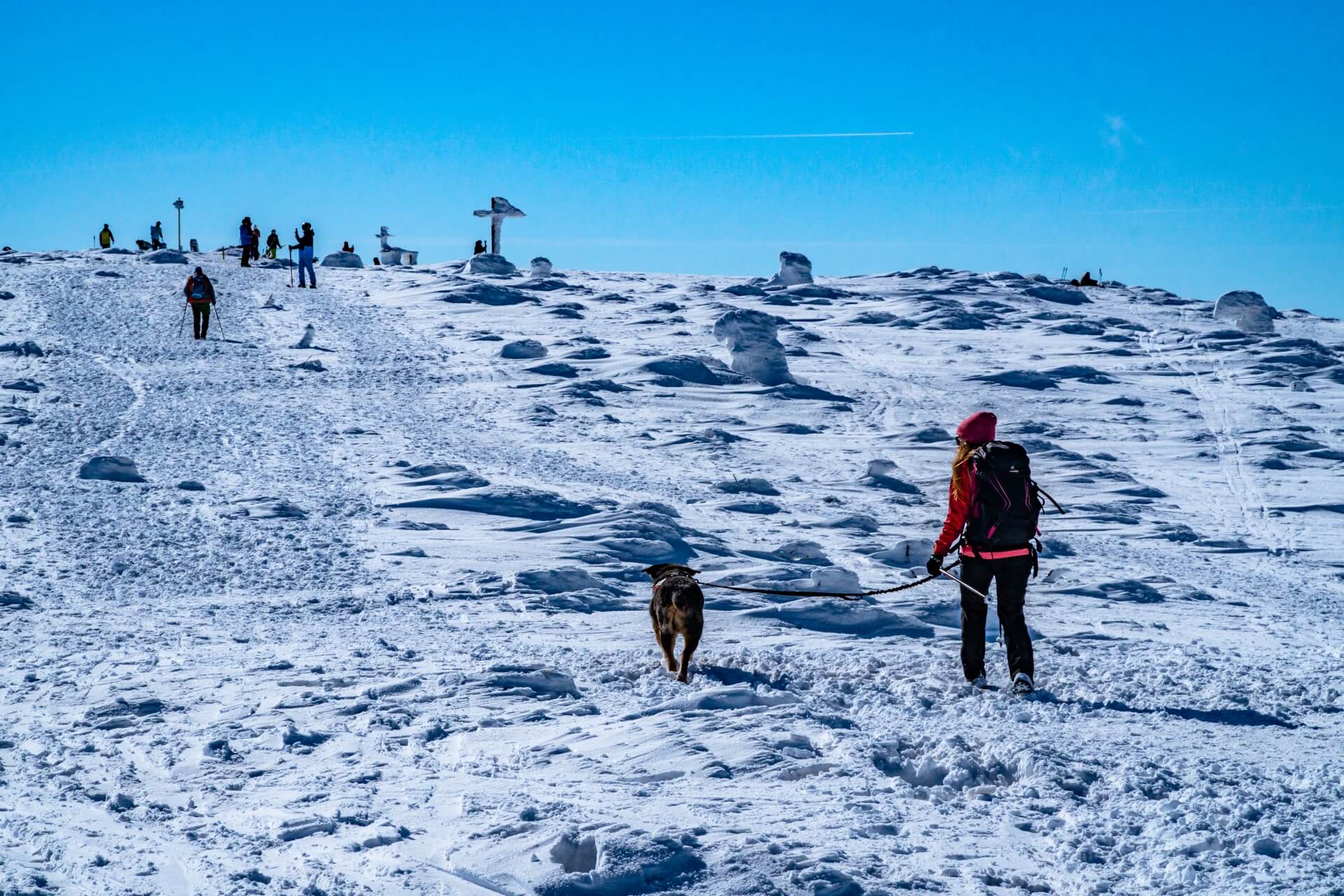 Na Pilsko rowniez mozesz wejsc z psem - Beskid Zywiecki