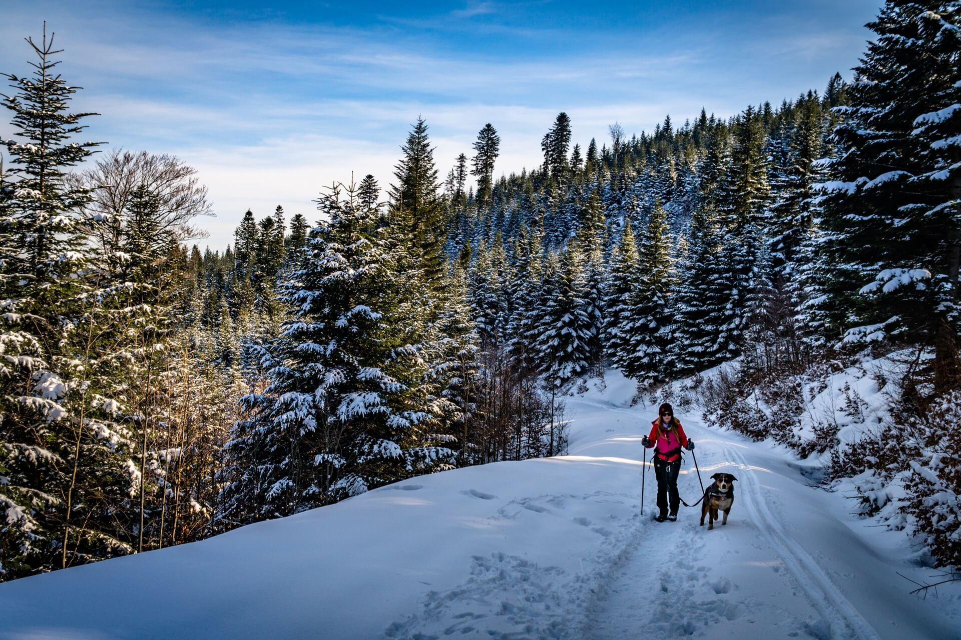Trekking z psem w Beskidzie Wyspowym to swietny sposob na spedzanie czasu wolnego