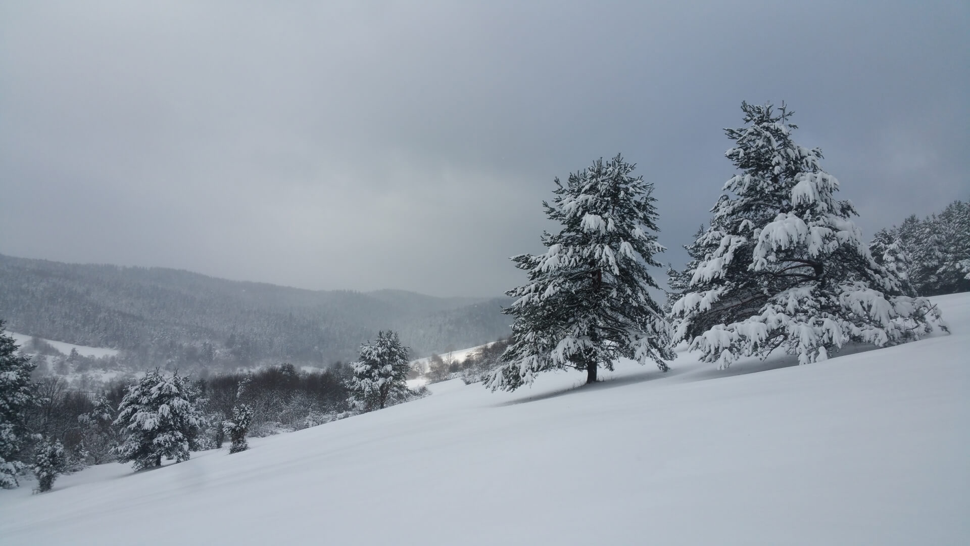 Mrozna ale niewzywkle urokliwe Bieszczady