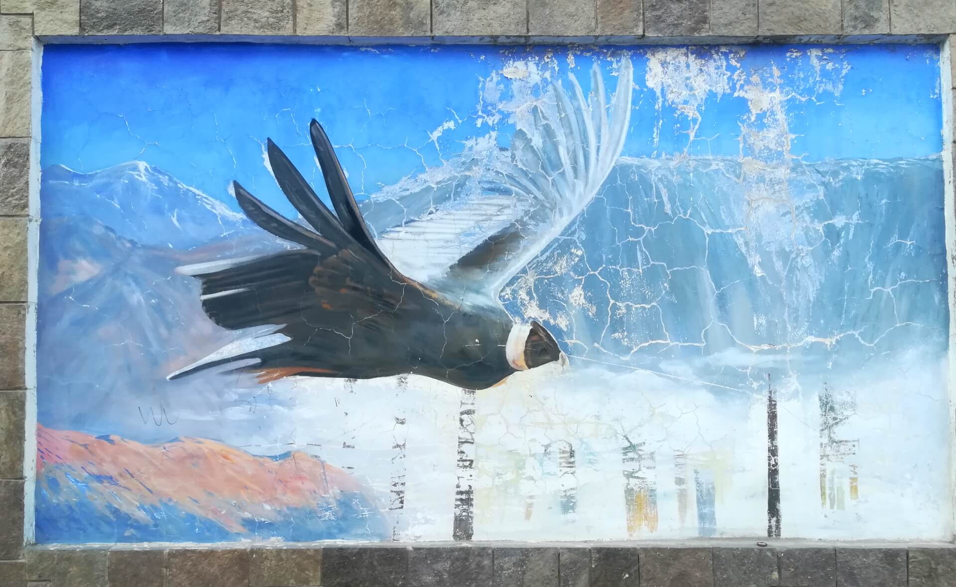 Graffiti prezentujace andyjskiego kondora