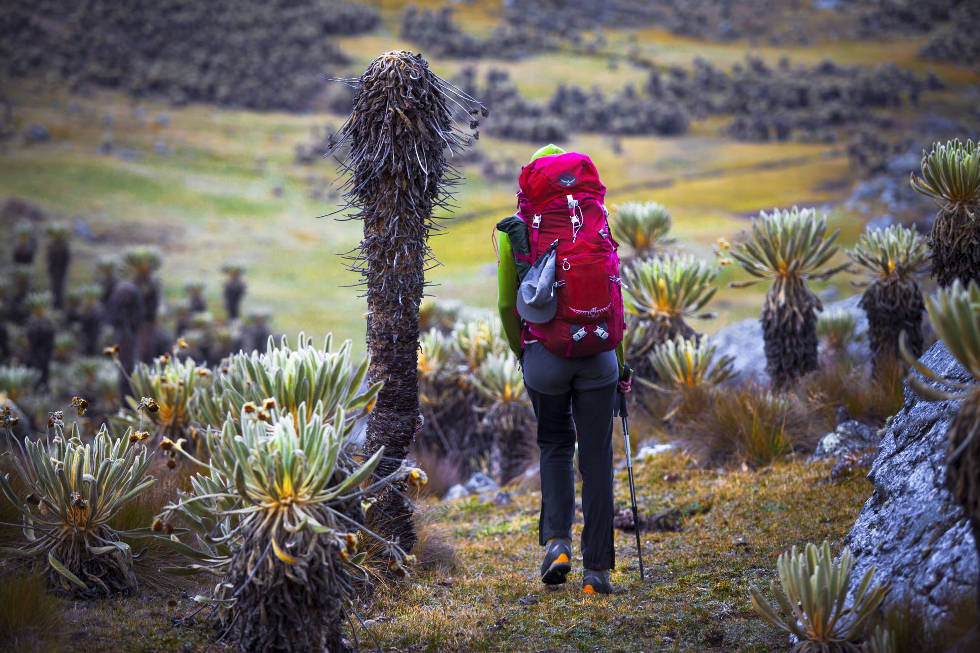 Trekking pięknymi szlakami Europy