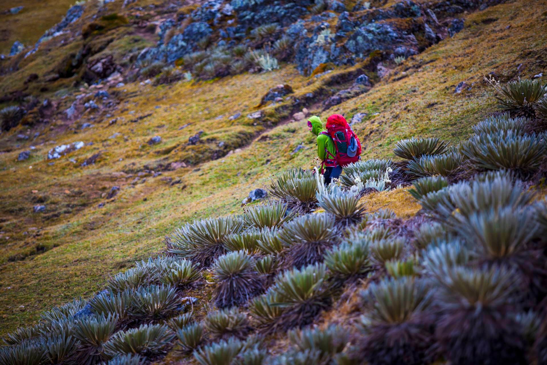 Australia i Oceania daje nam szereg mozliwosci wyboru pieknych tras trekkingowych