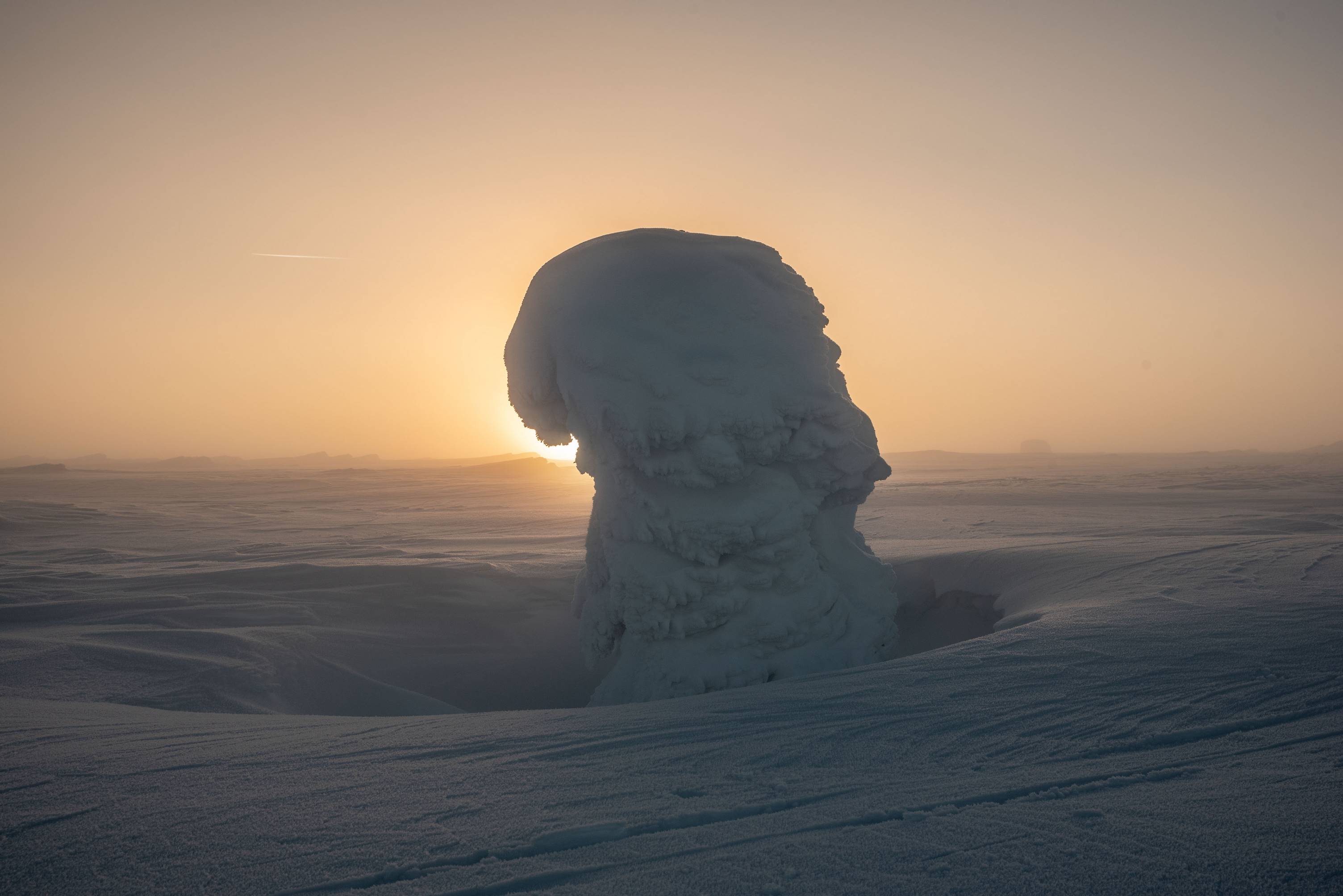 Oblepiona śniegiem kosodrzewia potocznie nazywana Pielgrzymami - zimowa wędrówka na królową Karkonoszy Śnieżkę