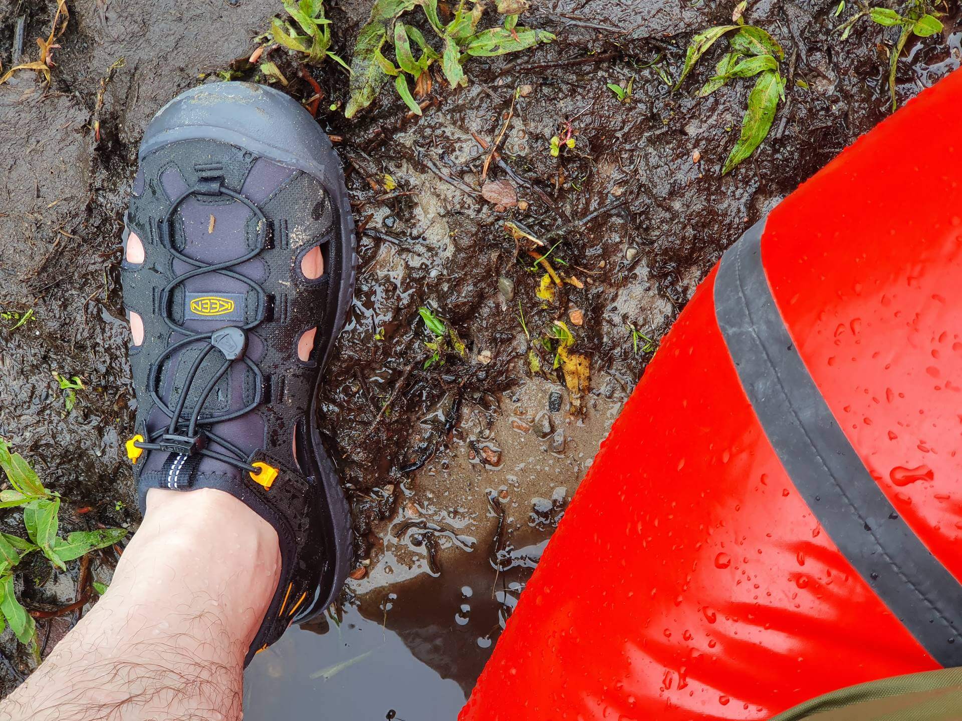 Konserwacja Keen Solr jest wyjatkowo prosta