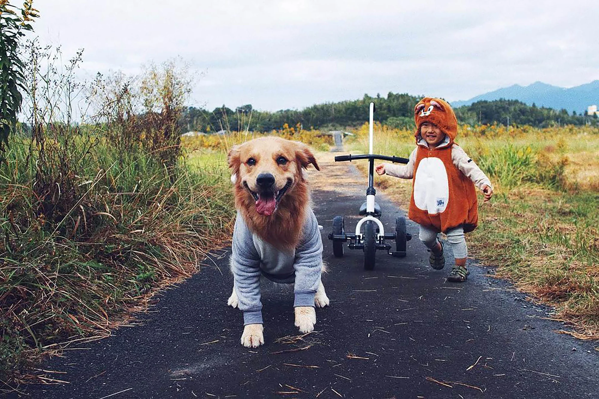 Szczęśliwego HallowKEEN! Pomysły na fajne kostiumy