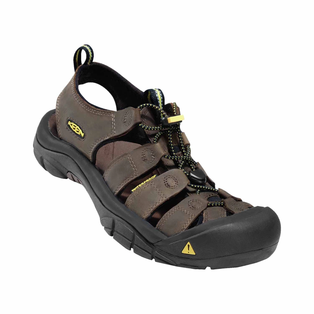 newport bison keen