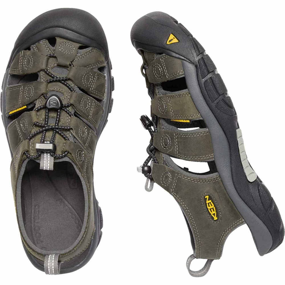 newport bison keen